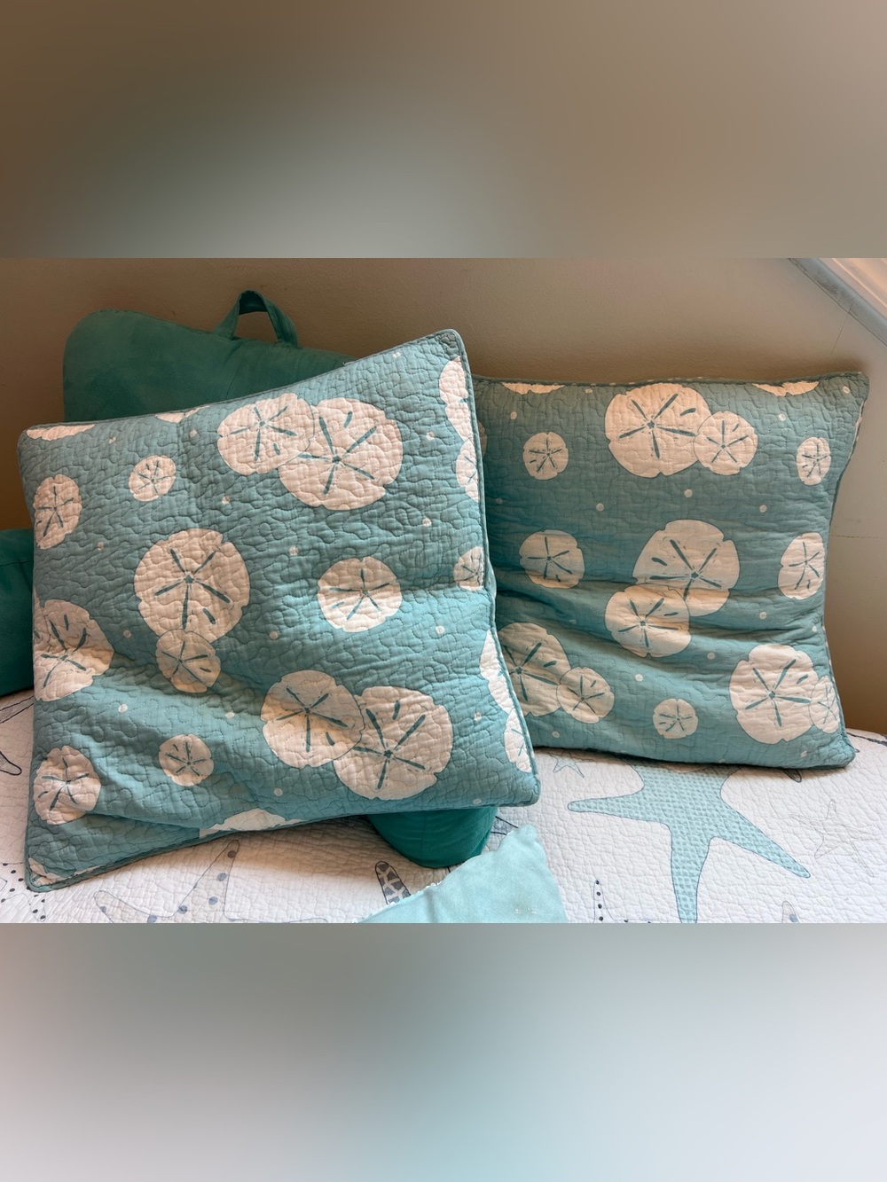 Turquoise / aqua sand dollar 18” square euro pillow sham